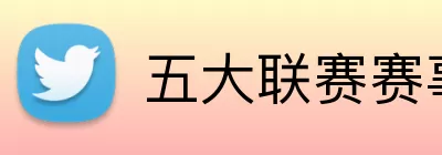 五大联赛赛事 Logo